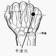 風龍穴|豐隆穴:解剖,主治,臨床運用,具體位置,備註絡穴,名解,基本操作,穴。